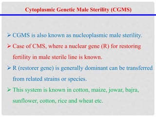 Cytoplasmic Genetic Male Sterility (CGMS)
 CGMS is also known as nucleoplasmic male sterility.
 Case of CMS, where a nuclear gene (R) for restoring
fertility in male sterile line is known.
 R (restorer gene) is generally dominant can be transferred
from related strains or species.
 This system is known in cotton, maize, jowar, bajra,
sunflower, cotton, rice and wheat etc.
 