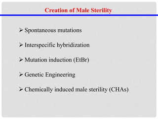 Creation of Male Sterility
 Spontaneous mutations
 Interspecific hybridization
 Mutation induction (EtBr)
 Genetic Engineering
 Chemically induced male sterility (CHAs)
 