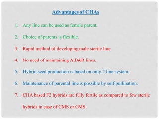 Advantages of CHAs
1. Any line can be used as female parent.
2. Choice of parents is flexible.
3. Rapid method of developing male sterile line.
4. No need of maintaining A,B&R lines.
5. Hybrid seed production is based on only 2 line system.
6. Maintenance of parental line is possible by self pollination.
7. CHA based F2 hybrids are fully fertile as compared to few sterile
hybrids in case of CMS or GMS.
 