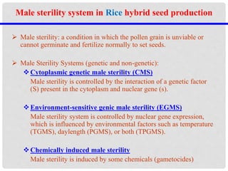Male sterility system in Rice hybrid seed production
 Male sterility: a condition in which the pollen grain is unviable or
cannot germinate and fertilize normally to set seeds.
 Male Sterility Systems (genetic and non-genetic):
Cytoplasmic genetic male sterility (CMS)
Male sterility is controlled by the interaction of a genetic factor
(S) present in the cytoplasm and nuclear gene (s).
Environment-sensitive genic male sterility (EGMS)
Male sterility system is controlled by nuclear gene expression,
which is influenced by environmental factors such as temperature
(TGMS), daylength (PGMS), or both (TPGMS).
Chemically induced male sterility
Male sterility is induced by some chemicals (gametocides)
 