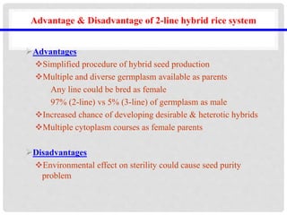 Advantage & Disadvantage of 2-line hybrid rice system
Advantages
Simplified procedure of hybrid seed production
Multiple and diverse germplasm available as parents
Any line could be bred as female
97% (2-line) vs 5% (3-line) of germplasm as male
Increased chance of developing desirable & heterotic hybrids
Multiple cytoplasm courses as female parents
Disadvantages
Environmental effect on sterility could cause seed purity
problem
 