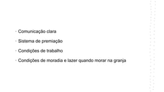 • Comunicação clara
• Sistema de premiação
• Condições de trabalho
• Condições de moradia e lazer quando morar na granja
 