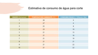 Estimativa de consumo de água para corte
 