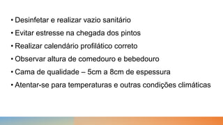 • Desinfetar e realizar vazio sanitário
• Evitar estresse na chegada dos pintos
• Realizar calendário profilático correto
• Observar altura de comedouro e bebedouro
• Cama de qualidade – 5cm a 8cm de espessura
• Atentar-se para temperaturas e outras condições climáticas
 