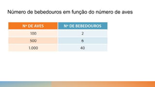 Número de bebedouros em função do número de aves
 