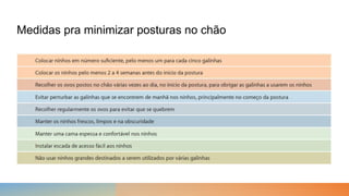 Medidas pra minimizar posturas no chão
 