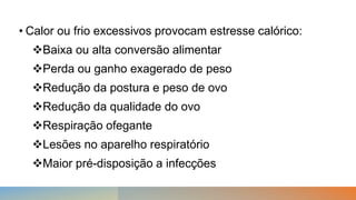 • Calor ou frio excessivos provocam estresse calórico:
Baixa ou alta conversão alimentar
Perda ou ganho exagerado de peso
Redução da postura e peso de ovo
Redução da qualidade do ovo
Respiração ofegante
Lesões no aparelho respiratório
Maior pré-disposição a infecções
 
