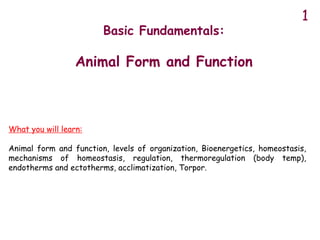 Basic Fundamentals:
Animal Form and Function
1
What you will learn:
Animal form and function, levels of organization, Bioenergetics, homeostasis,
mechanisms of homeostasis, regulation, thermoregulation (body temp),
endotherms and ectotherms, acclimatization, Torpor.
 