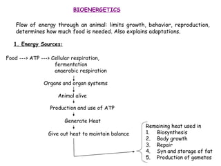 BIOENERGETICS
Flow of energy through an animal: limits growth, behavior, reproduction,
determines how much food is needed. Also explains adaptations.
1. Energy Sources:
Food ---> ATP ---> Cellular respiration,
fermentation
anaerobic respiration
Organs and organ systems
Animal alive
Production and use of ATP
Generate Heat
Give out heat to maintain balance
Remaining heat used in
1. Biosynthesis
2. Body growth
3. Repair
4. Syn and storage of fat
5. Production of gametes
 
