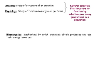 Anatomy: study of structure of an organism
Physiology: Study of functions an organism performs
Natural selection
Fits structure to
function by
selection over many
generations in a
population
Bioenergetics: Mechanisms by which organisms obtain processes and use
their energy resources
 