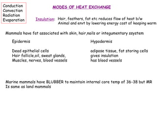 MODES OF HEAT EXCHANGE
Conduction
Convection
Radiation
Evaporation Insulation: Hair, feathers, fat etc reduces flow of heat b/w
Animal and envt by lowering energy cost of keeping warm
Mammals have fat associated with skin, hair,nails or integumentary ssystem
Epidermis Hypodermis
Dead epithelial cells adipose tissue, fat storing cells
Hair follicle,oil, sweat glands, gives insulation
Muscles, nerves, blood vessels has blood vessels
Marine mammals have BLUBBER to maintain internal core temp of 36-38 but MR
Is same as land mammals
 