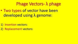 1. vectors b sc microbiology 2yrs | PPTX