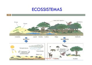 ECOSSISTEMAS
13
! "#
$%
&$' ' ( )*%
+
, - - . - +
%
Cláudia Barros Moreira - Biologia e Geologia - 10.º Ano
 