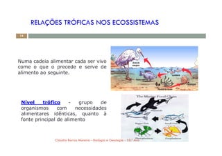 RELAÇÕES TRÓFICAS NOS ECOSSISTEMAS
Numa cadeia alimentar cada ser vivo
come o que o precede e serve de
alimento ao seguinte.
14
Nível trófico - grupo de
organismos com necessidades
alimentares idênticas, quanto à
fonte principal de alimento
Cláudia Barros Moreira - Biologia e Geologia - 10.º Ano
 