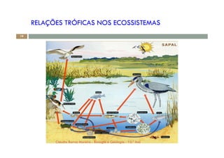 RELAÇÕES TRÓFICAS NOS ECOSSISTEMAS
19
Cláudia Barros Moreira - Biologia e Geologia - 10.º Ano
 