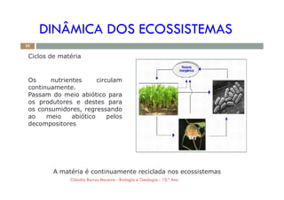 DINÂMICA DOS ECOSSISTEMAS
Ciclos de matéria
Os nutrientes circulam
continuamente.
Passam do meio abiótico para
os produtores e destes para
22
os produtores e destes para
os consumidores, regressando
ao meio abiótico pelos
decompositores
A matéria é continuamente reciclada nos ecossistemas
Cláudia Barros Moreira - Biologia e Geologia - 10.º Ano
 