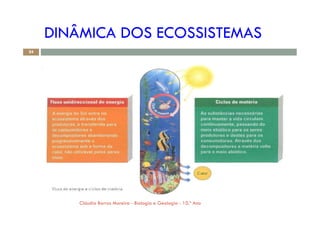 DINÂMICA DOS ECOSSISTEMAS
24
! "#$%
&$' ' ( )*%
+
, - - . - +
%
Cláudia Barros Moreira - Biologia e Geologia - 10.º Ano
 