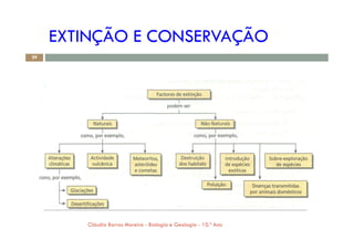 EXTINÇÃO E CONSERVAÇÃO
29
Cláudia Barros Moreira - Biologia e Geologia - 10.º Ano
 