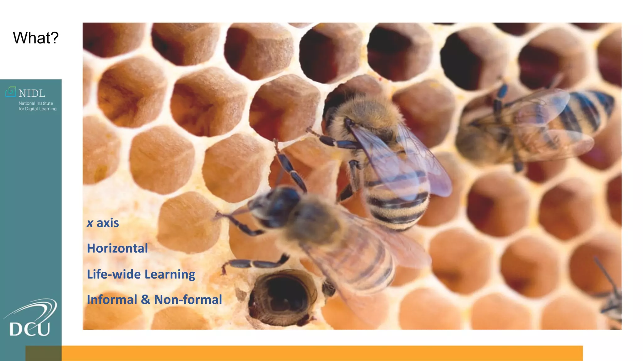 x axis
Horizontal
Life-wide Learning
Informal & Non-formal
What?
 