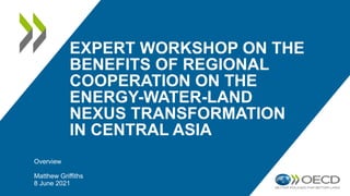 EXPERT WORKSHOP ON THE
BENEFITS OF REGIONAL
COOPERATION ON THE
ENERGY-WATER-LAND
NEXUS TRANSFORMATION
IN CENTRAL ASIA
Overview
Matthew Griffiths
8 June 2021
 
