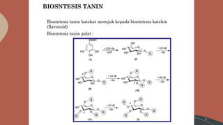 Tanin Fitokimia | PPTX