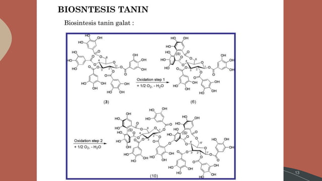 Tanin Fitokimia | PPTX