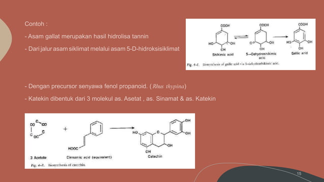 Tanin Fitokimia | PPTX