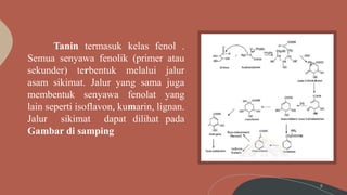 Tanin Fitokimia | PPTX