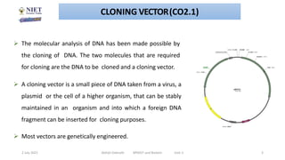 Cloning vectors | PPTX