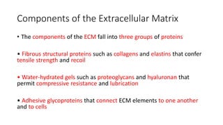 1. the cell unit | PPTX