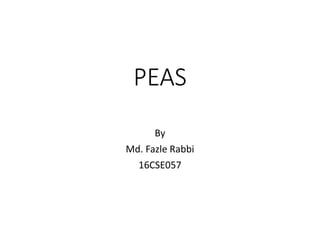 PEAS
By
Md. Fazle Rabbi
16CSE057
 