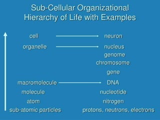 1.0 introduction to human biology