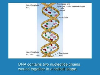 1.0 introduction to human biology