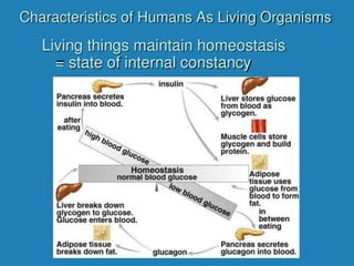 1.0 introduction to human biology