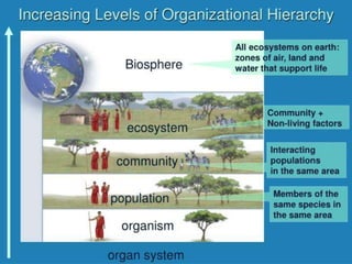 1.0 introduction to human biology