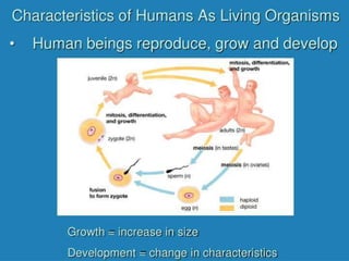 1.0 introduction to human biology