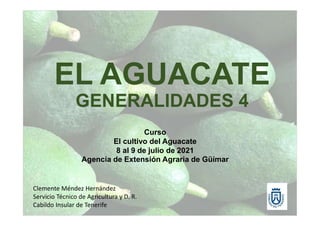 GENERALIDADES 4
Curso
El cultivo del Aguacate
8 al 9 de julio de 2021
Agencia de Extensión Agraria de Güímar
Clemente Méndez Hernández
Servicio Técnico de Agricultura y D. R.
Cabildo Insular de Tenerife
 