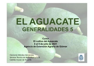 GENERALIDADES 5
Curso
El cultivo del Aguacate
8 al 9 de julio de 2021
Agencia de Extensión Agraria de Güímar
Clemente Méndez Hernández
Servicio Técnico de Agricultura y D. R.
Cabildo Insular de Tenerife
 