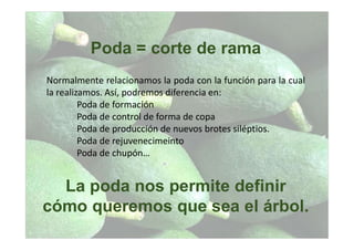 Poda = corte de rama
Normalmente relacionamos la poda con la función para la cual
la realizamos. Así, podremos diferencia en:
Poda de formación
Poda de control de forma de copa
Poda de producción de nuevos brotes siléptios.
Poda de rejuvenecimeinto
Poda de chupón…
La poda nos permite definir
cómo queremos que sea el árbol.
 