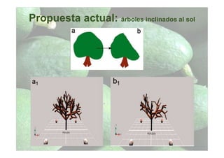 Propuesta actual: árboles inclinados al sol
 