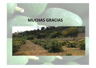 MUCHAS GRACIAS
 