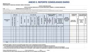 ANEXO 5. REPORTE CONSOLIDADO DIARIO
 