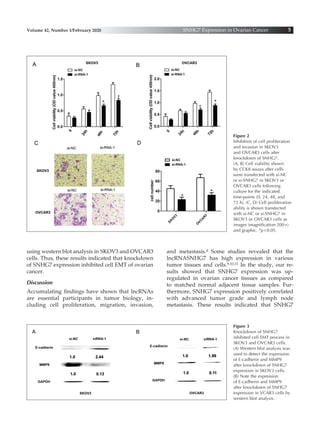 SNHG7 Expression Is Upregulated in Ovarian Cancer and Promotes Cell ...