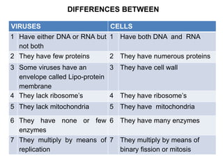 DIFFERENCES BETWEEN
VIRUSES CELLS
1 Have either DNA or RNA but
not both
1 Have both DNA and RNA
2 They have few proteins 2 They have numerous proteins
3 Some viruses have an
envelope called Lipo-protein
membrane
3 They have cell wall
4 They lack ribosome’s 4 They have ribosome’s
5 They lack mitochondria 5 They have mitochondria
6 They have none or few
enzymes
6 They have many enzymes
7 They multiply by means of
replication
7 They multiply by means of
binary fission or mitosis
 