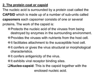 2. The protein coat or capsid
The nucleic acid is surrounded by a protein coat called the
CAPSID which is made up of a number of sub-units called
capsomers each capsomer consists of one or several
proteins. The work of the capsid is:
Protects the nucleic acid of the viruses from being
destroyed by enzymes in the surrounding environment.
Provides the viruses with nutrients from the host cell.
It facilitates attachment to the susceptible host cell.
It confers or gives the virus structural or morphological
characteristics.
It confers antigenicity of the virus.
It exhibits viral receptor binding sites.
Nucleo-capsid: This is the capsid together with the
enclosed nucleic acid.
 