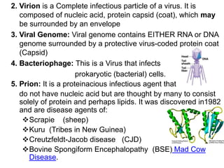 2. Virion is a Complete infectious particle of a virus. It is
composed of nucleic acid, protein capsid (coat), which may
be surrounded by an envelope
3. Viral Genome: Viral genome contains EITHER RNA or DNA
genome surrounded by a protective virus-coded protein coat
(Capsid)
4. Bacteriophage: This is a Virus that infects
prokaryotic (bacterial) cells.
5. Prion: It is a proteinacious infectious agent that
do not have nucleic acid but are thought by many to consist
solely of protein and perhaps lipids. It was discovered in1982
and are disease agents of:
Scrapie (sheep)
Kuru (Tribes in New Guinea)
Creutzfeldt-Jacob disease (CJD)
Bovine Spongiform Encephalopathy (BSE) Mad Cow
Disease.
 