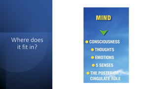 Where does
it fit in?
 