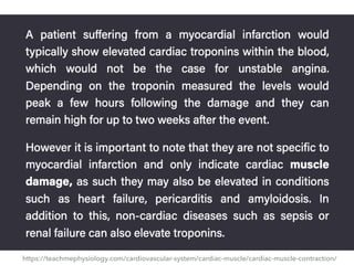 https://teachmephysiology.com/cardiovascular-system/cardiac-muscle/cardiac-muscle-contraction/
 