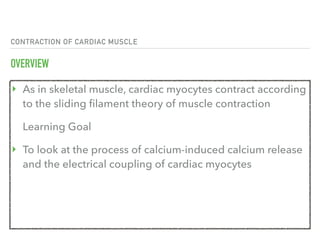 CONTRACTION OF CARDIAC MUSCLE
OVERVIEW
‣ As in skeletal muscle, cardiac myocytes contract according
to the sliding filament theory of muscle contraction
Learning Goal
‣ To look at the process of calcium-induced calcium release
and the electrical coupling of cardiac myocytes
 