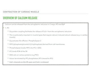 CONTRACTION OF CARDIAC MUSCLE
OVERVIEW OF CALCIUM RELEASE
Calcium can be released from the sarcoplasmic reticulum in 2 ways: IP3 and RyR
‣ 1. IP3
‣ Gq-protein coupling facilitates the release of Ca2+ from the sarcoplasmic reticulum
‣ This is particularly important in muscle types that require calcium induced calcium release (e.g. in cardiac
muscle)
‣ Gq activates the effector: Phospholipase C
‣ PIP2 (phosphatidylinositol 4,5-biphosphate) derived from cell membranes
‣ Phospholipase breaks PIP2 into IP3 + DAG
‣ IP3 binds IP3R of the SR
‣ DAG acts on various proteins (e.g PKC)
‣ Action terminated by IP3 phosphatase (IP3 cleaved to IP2)
‣ Ca2+ channels on the SR open and Ca2+ is released
 